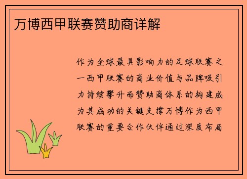 万博西甲联赛赞助商详解